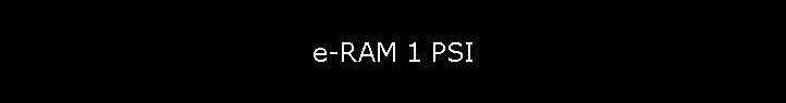 e-RAM 1 PSI